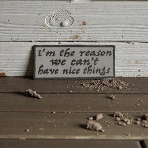 May include: A rectangular sign with the text "I'm the reason we can't have nice things" in a handwritten style. The sign is gray with a dark gray border, set against a wooden background. Small piles of dirt are scattered around the sign.