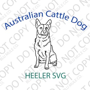 Australian Cattle Dog SVG Heeler SVG Digital Download for cricut or supported cutting machines Blue Heeler SVG, Red Heeler svg