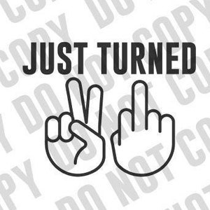 Net 21 svg PNG-| Digital Instant Download svg voor Cricut of Snijmachines 21e Verjaardag svg png grappige 21e Verjaardag downloaden svg