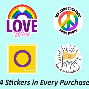Ensemble d’autocollants du mois de la fierté | FIERTÉ LGBT, Autocollants esthétiques, Autocollants en vinyle, Égalité, Autocollants résistants à la décoloration et à l’huile