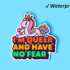 I’m Queer &Have No Fear Sticker Set | Fierté LGBT, cadeau du mois de la fierté, étiquettes autocollantes, autocollants d’affaires, autocollants résistants à la décoloration, résistant à l’huile