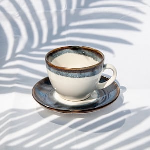 May include: A white ceramic teacup with a brown and blue rim sits on a matching saucer. The cup and saucer are on a white surface with the shadow of a palm leaf.