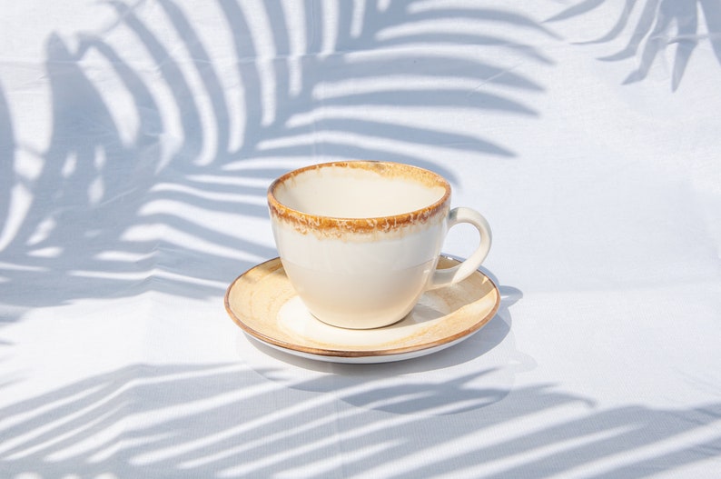 May include: A white ceramic coffee cup with a brown rim and a matching saucer. The cup and saucer are sitting on a white surface with a shadow of a palm leaf.