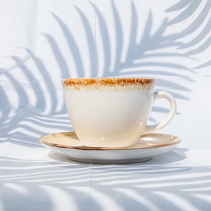 May include: A white ceramic coffee cup with a brown rim and a matching saucer. The cup and saucer are sitting on a white surface with a shadow of a palm leaf.