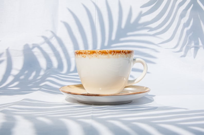 May include: A white ceramic coffee cup with a brown rim and a matching saucer. The cup and saucer are sitting on a white surface with a shadow of a palm leaf.