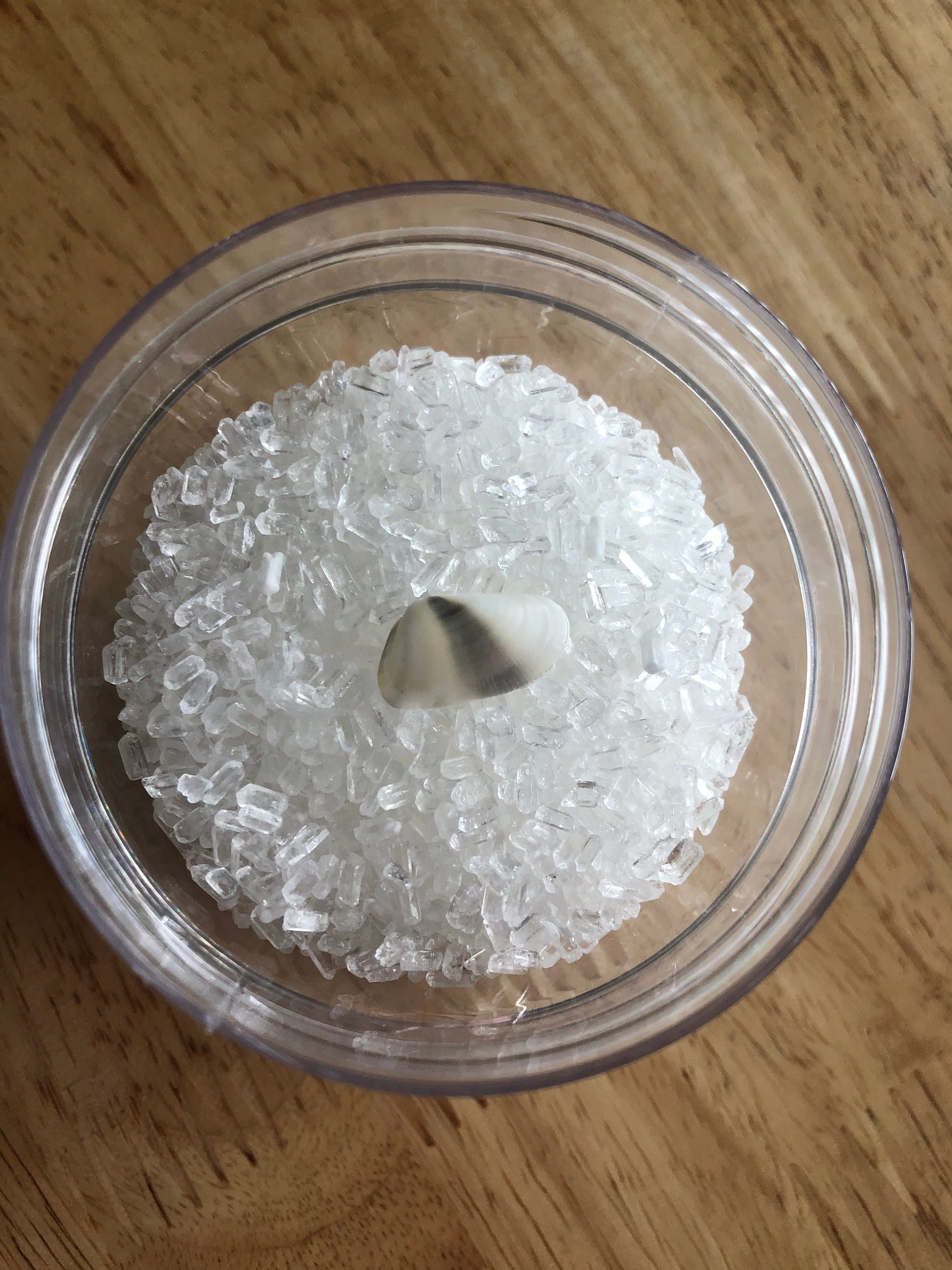 West Coast Bath Salt Soak by SaltCatSoap Etsy