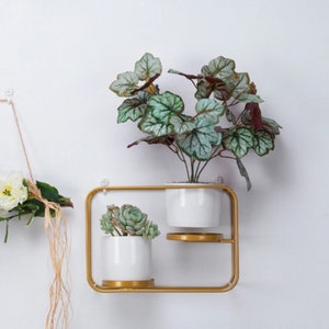 May include: A gold metal wall-mounted planter with two white ceramic pots, one holding a succulent and the other a plant with green and burgundy leaves. A floral wreath hangs on the left. The wall is white.