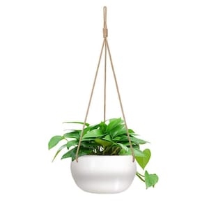 May include: A white ceramic hanging planter filled with vibrant green leafy plants. The planter is suspended by a natural-colored rope, creating a minimalist and modern aesthetic. The plant's leaves are a lush green, contrasting with the white pot.