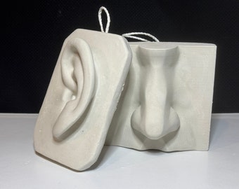 Plaster Cast Drawing Set: Basic Nose and Ear Study