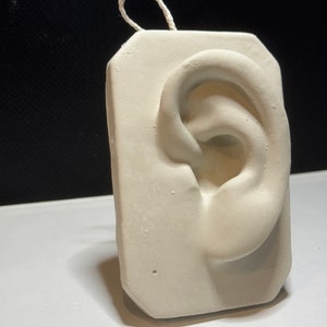 Handmade Plaster Cast of Ear, Art Practice, Cast Drawing, Sculpture, Unique Home Decor