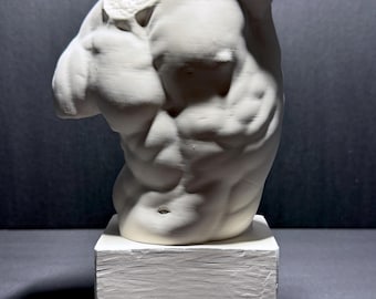 May include: A white matte sculpture of a muscular human torso featuring defined abdominal and pectoral muscles. The headless and armless figure is mounted on a square white base with a textured surface. The text fromthemold.art is visible.