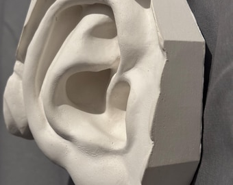 Ear of David Plaster Cast Art Reference, Handmade Sculpture for Artists