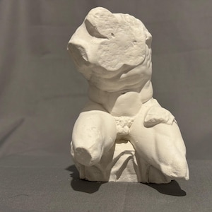 Belvedere Torso Plaster Cast Art Reference, Handmade Sculpture for Artists