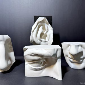 Peut inclure: Quatre fragments sculpturaux blancs représentant des traits du visage humain, incluant un nez, un œil, une oreille et une bouche. Chaque pièce est moulée dans un matériau blanc mat aux bords géométriques nets. Le texte fromthemold.art est visible.