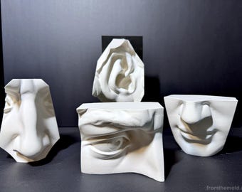 May include: Four white sculptural fragments depicting human facial features, including a nose, an eye, an ear, and a mouth. Each piece is cast in a matte white material with sharp, geometric edges. The text fromthemold.art is visible in the corner.