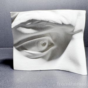 Puede incluir: Una escultura rectangular blanca con una superficie ondulada que presenta una impresión fotográfica en escala de grises de un ojo humano. La imagen muestra el iris, la pupila y los detalles del párpado. El texto fromthemold.art está impreso en la esquina.