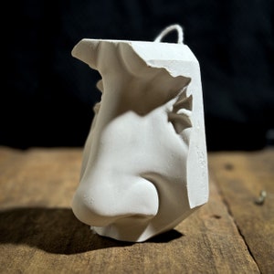Nose of David, Art Practice Decor, Hand Sculpted Realism, Artist Gift