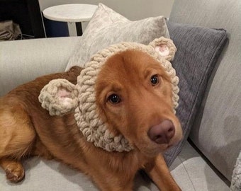 dog ear warmers