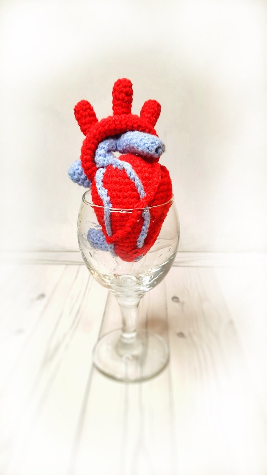 Anatomical heart plush Medical student gift Human heart Etsy
