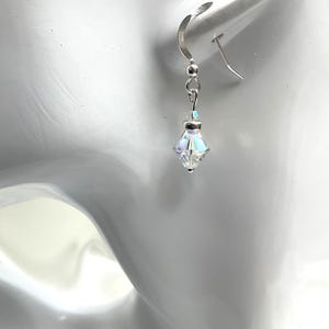 Funkelnde Swarovski Kristallohrringe mit einem Hauch von Silber