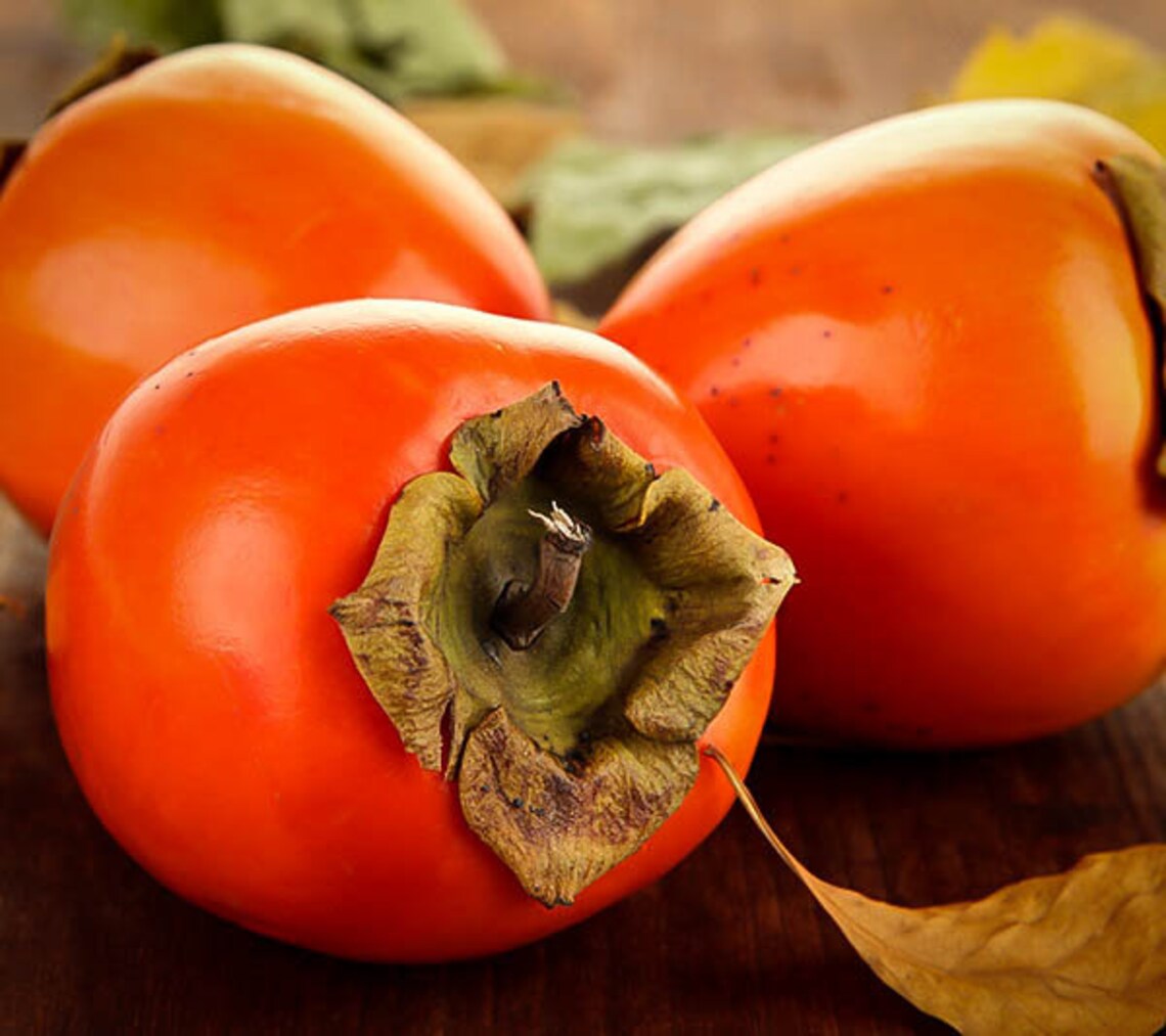 hachiya persimmon near me