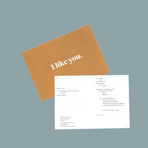 Je t'aime bien. | Une carte postale confessionnelle de liste de contrôle | 5 x 7 po. | 4 choix de couleurs