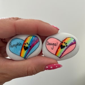 May include: Two painted heart-shaped rocks with rainbow designs and paw prints. One rock is light blue with the name "Pumpkin" and the other is pink with the name "Dougal".