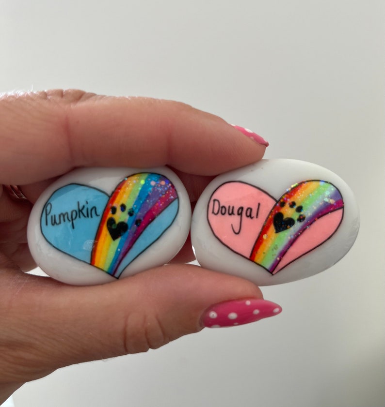 May include: Two painted heart-shaped rocks with rainbow designs and paw prints. One rock is light blue with the name "Pumpkin" and the other is pink with the name "Dougal".