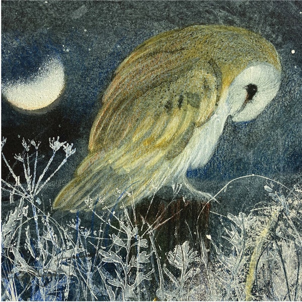 Rachel Sargent, Barn Owl, blank greeting card, Artists cards, Dorset artist, nature cards, Moonlight, Frost