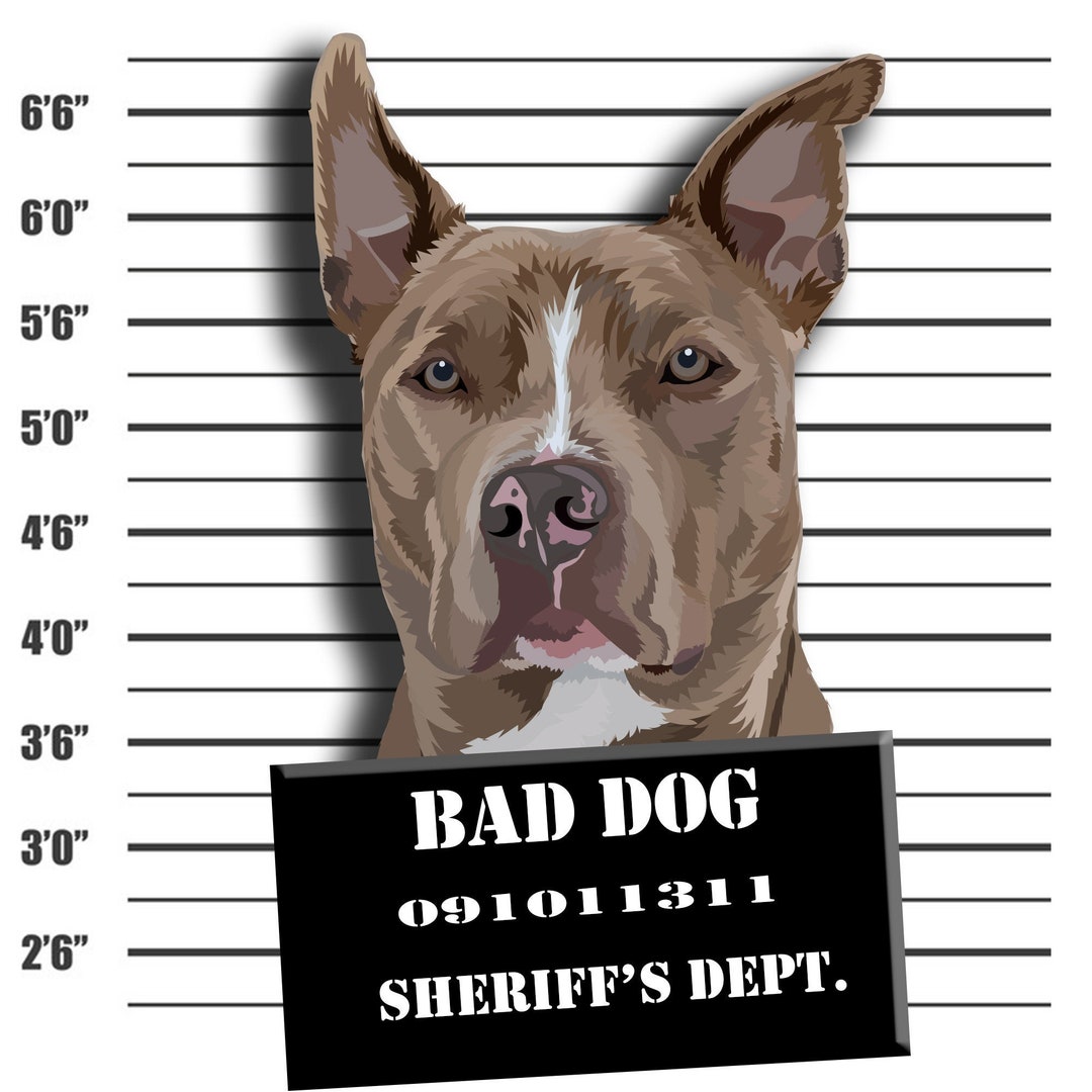 Custom DIGITAL Pet Drawing Hand Drawn Pet Photo. Unlimited Etsy UK