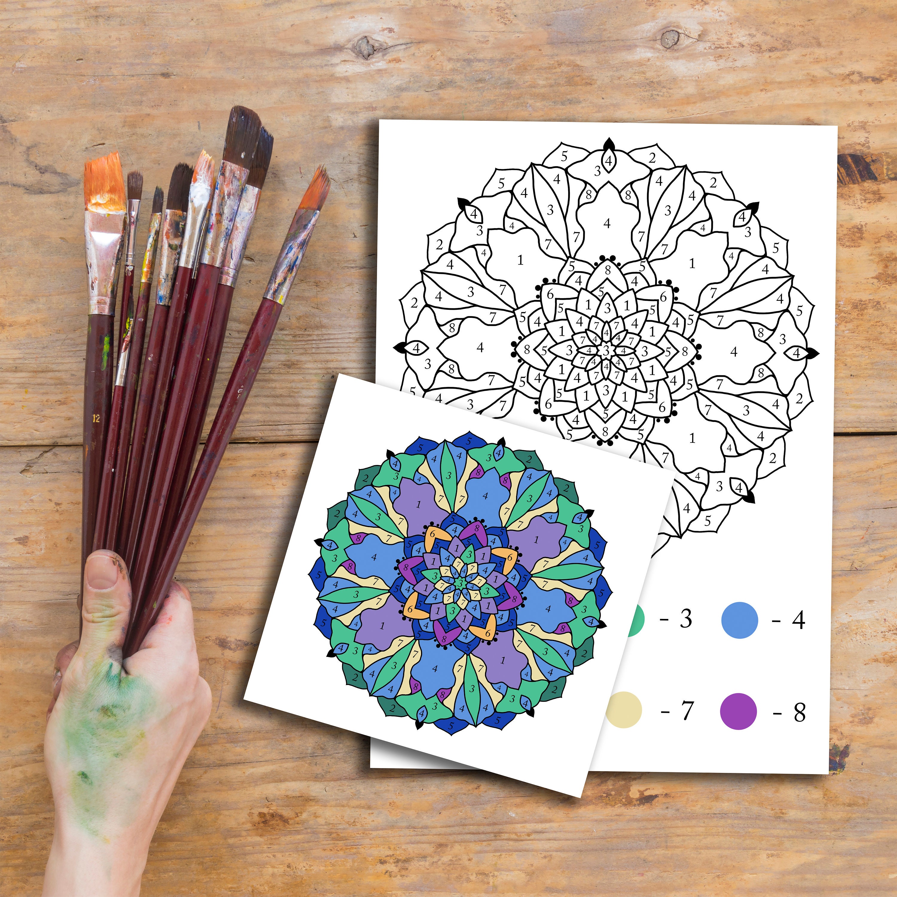 Paint by numbers for adults. Coloring books for adults. Etsy