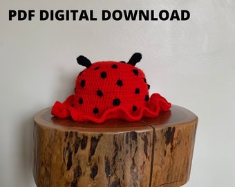 Ladybug Crochet Hat - PATTERN ONLY