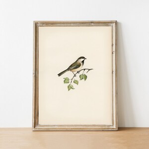 Bird Print |DIGITAL ART | Downloadable | Printable