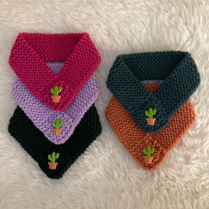 Cactus Knit Pet Scarf