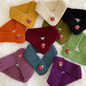 Apple Picking Knit Pet Scarf