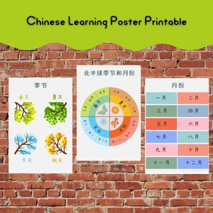 Seasons and Months Chinese Poster • Educational Print  • Nursery • Homeschool & Classroom Decor  • PRINTABLE Wall Art • DIGITAL DOWNLOAD