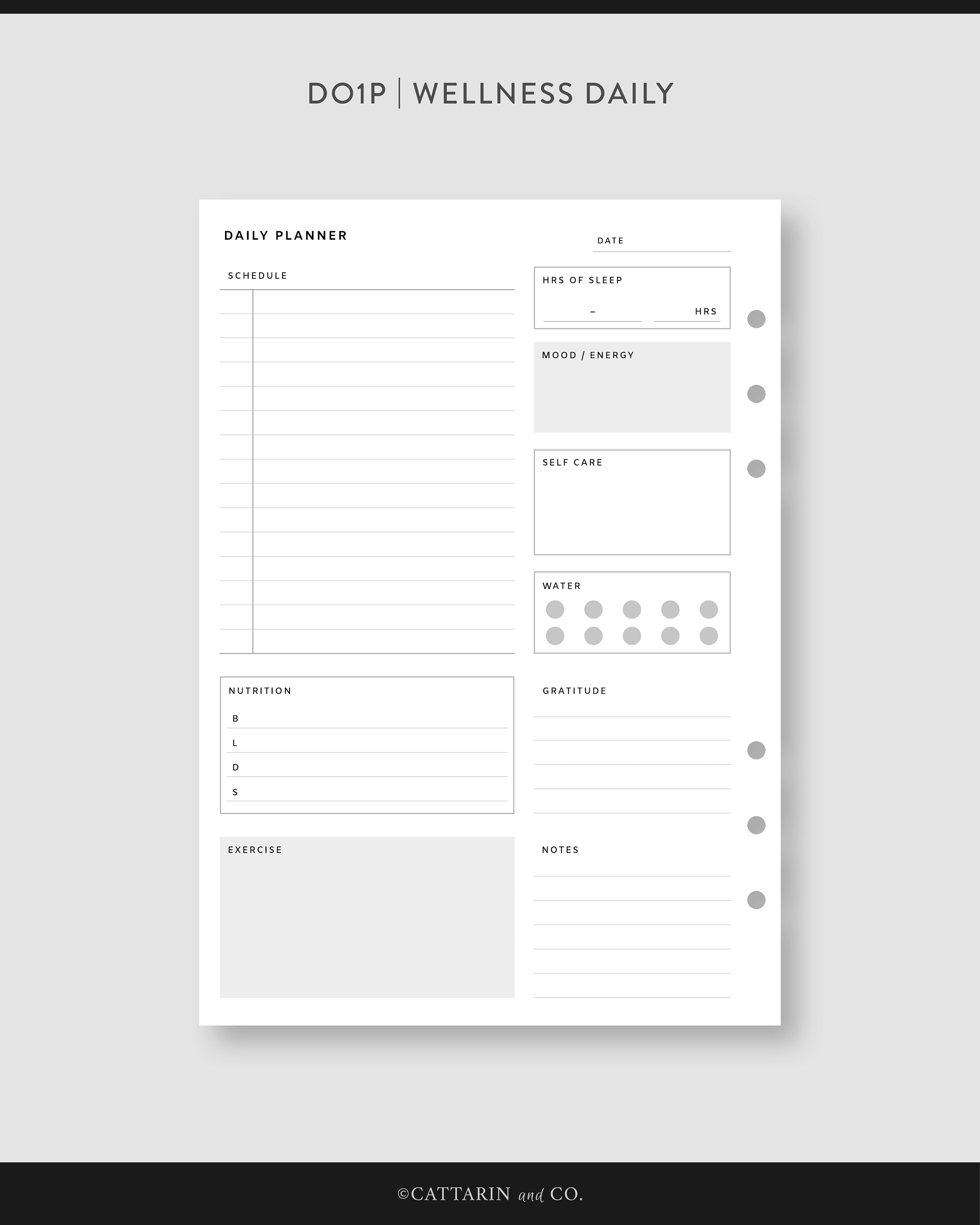A5, Daily Planner Bundle Printable Pdf Inserts Daily Agenda, Daily Task