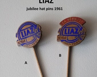Rare LIAZ Anniversary Pins - 10 Years of Excellence