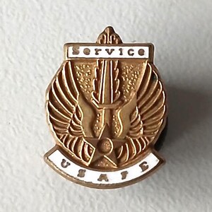 Op de afbeelding: Gouden metalen pin met een wit emaille ontwerp. De pin heeft een gestileerde adelaar met gespreide vleugels, een zwaard en de woorden "SERVICE" en "USAF". De pin is ongeveer 15 mm bij 16 mm.