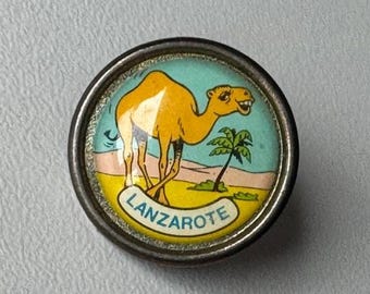 Rare Lanzarote camel motif pin – authentic island souvenir collectible