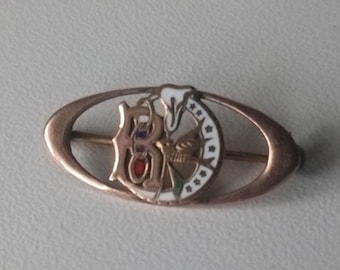 Symbolistic, ornate hummingbird brooch (club, lodge, organization?) Enamelled gold approx. 1950s