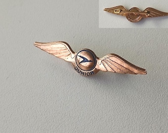 Nostalgic Airline Logo Badge - Vintage 70s Brooch