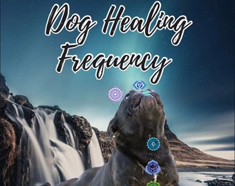 Dog Healing Frequency