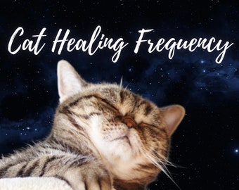 Cat Healing Frequency