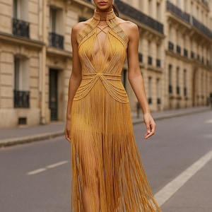 Tina Turner Fringe Dress