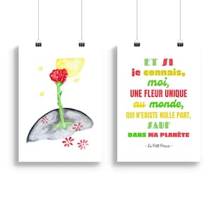 Citazione del Piccolo Principe, Carta del Piccolo Principe, Illustrazione del Piccolo Principe, Stampa artistica, Poster con citazione ad acquerello, Arte per bambini