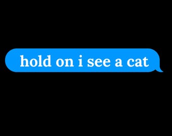 Hold On I See A Cat Text SVG PNG Funny Sarcastic Feline Quote Cricut DTF