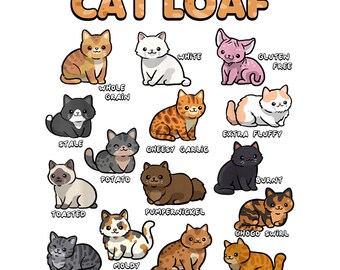 Types of Cat Loaf Chart SVG PNG Funny Bread Kitten Guide Cricut DTF