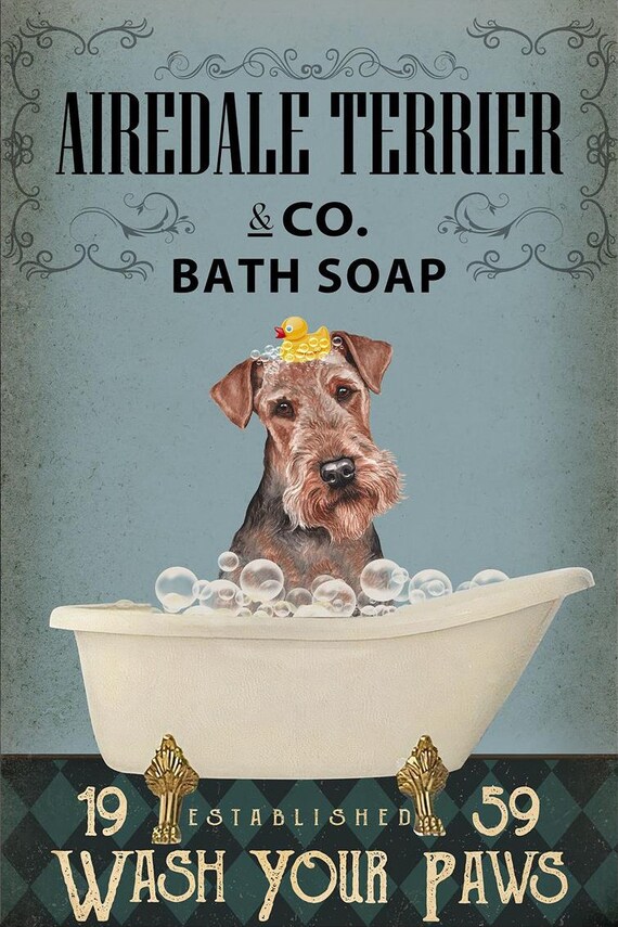 How Often Should You Bathe An Airedale