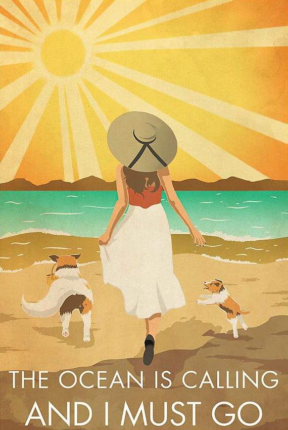 Can Dogs Go In The Ocean